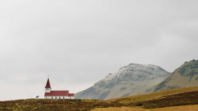 Cricbet99 Kaise Khelte Hain Aur Paisa Kaise Kamayein?